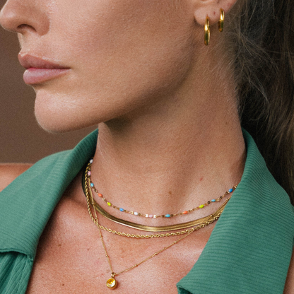 Rainbow Delikat Halskæde